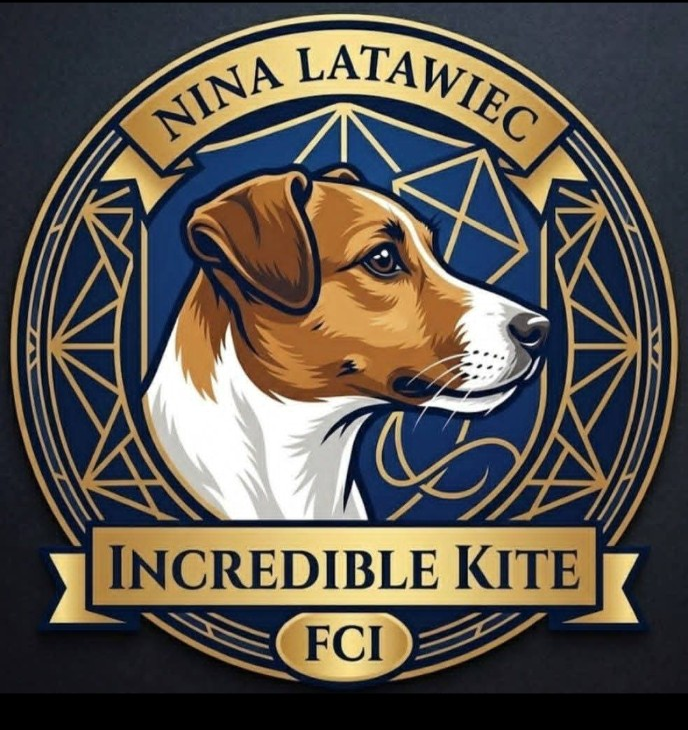 Logo Incredible Kite FCI